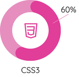 Gráfico Digital Skill CSS3