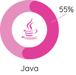 Gráfico Digital Skill Java